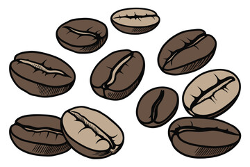  Photograph of 11 coffee beans arranged on a white background, high quality, jpeg artifacts, realistic, brown color, shiny texture, different sizes and shapes, some beans are whole and some are split,