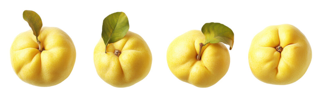 Vier frische gelbe Quitten mit Bl&auml;ttern isoliert auf transparentem Hintergrund png