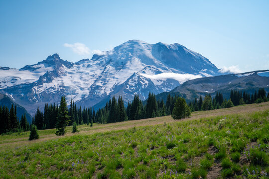 Mount Rainier Washington State National Park