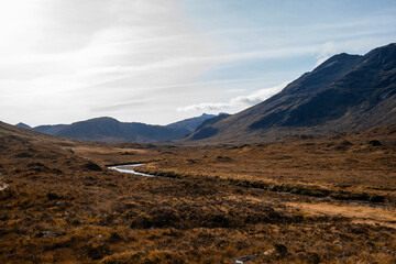 Scotland 205