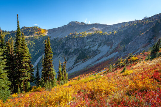 Fall in North Cascades National Park Maple Pass