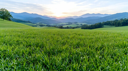 Obraz premium Sunset over rolling green hills and distant mountains (2)