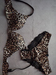 Leopard lingerie Set with lace panties on gray Background. High quality photo