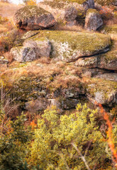 fantastic autumn in a mountain canyon, huge rocks
