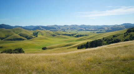 Fototapeta premium Rolling hills vista, sunny day, pastoral landscape, idyllic countryside, travel brochure