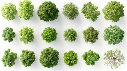 Comprehensive Set of Tree Top Views for Landscape Designs, Architectural Features, and Environmental Planning with Detailed CAD Drawings and Garden Elements