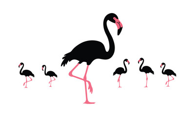 Stylish Black Flamingo Vector Art Collection with Pink Details Modern Design