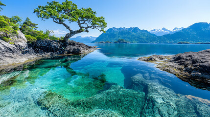 Obraz premium Serene lake, tree, mountains, clear water, summer