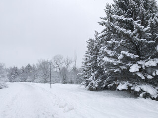 Fototapeta premium Landscape of South Park in city of Sofia, Bulgaria