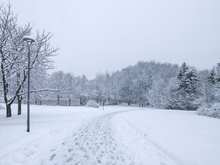 Landscape of South Park in city of Sofia, Bulgaria