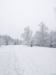Landscape of South Park in city of Sofia, Bulgaria