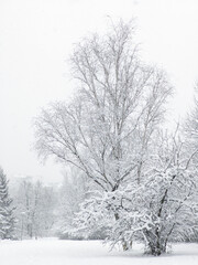 Landscape of South Park in city of Sofia, Bulgaria