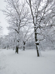 Landscape of South Park in city of Sofia, Bulgaria