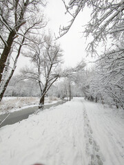 Obraz premium Landscape of South Park in city of Sofia, Bulgaria