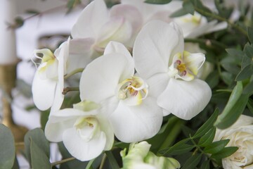 elegant stylish bridal bouquet wedding bouquet in white and green tones contains roses, orchids, eucalyptus branches