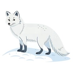 Obraz premium Arctic Fox Illustration Cute White Fox on Snow Wildlife Animal Drawing Winter Animal Polar Fox