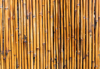 Beautiful view of the bright colorful colorful dry bamboo background .