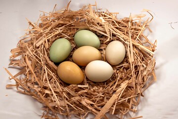 Straw nest with free-range chicken eggs