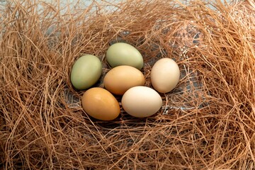 Straw nest with free-range chicken eggs