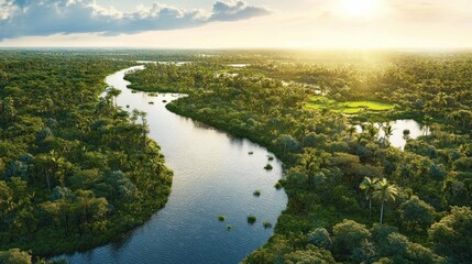 Aerial View of a Lush Tropical River and Forest