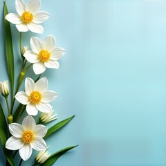 Fototapeta premium White flowers arranged on light blue background. Flat lay springtime floral composition. Beautiful delicate blossoms. Perfect for greeting cards, invitations springtime celebrations. Floral design.