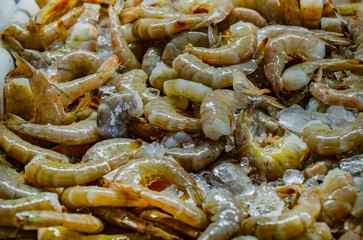 Brown shrimp on ice in Bon Secour Alabama, concept of food ingredient or commercial fishing industry