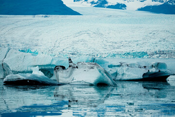 Ice Iceberg on ice lagoon Iceland