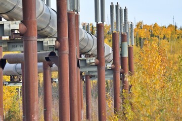 Pipeline durch Alaskas Wildnis