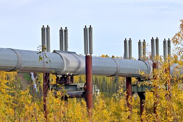 Pipeline durch Alaskas Wildnis