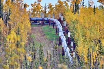 Pipeline durch Alaskas Wildnis