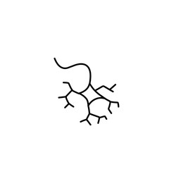 nerve cell icon