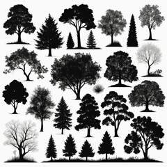 Fototapeta premium A collection of diverse tree silhouettes, showcasing various species and sizes, ideal for design projects needing natural elements.