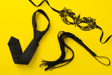 Set of erotic BDSM accessories on color background, top view
