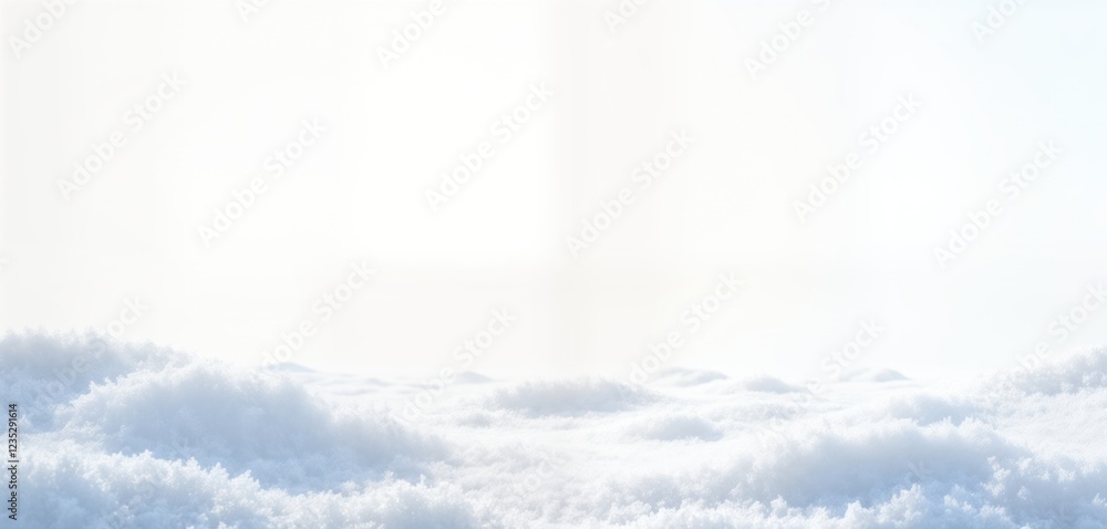 Poster digital render shows vast expanse of white frost. winter scene. looks like cold snowy day. texture r
