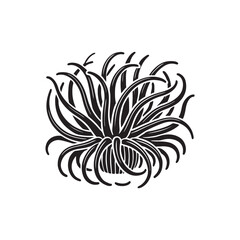Black Color Sea Anemone silhouette design Vector Illustration, Solid White Background (5).eps