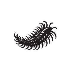 Black Color Sea Cucumber silhouette design Vector Illustration, Solid White Background (4).eps