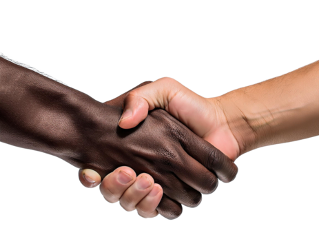 Image of two hands engaged in a firm handshake, isolated on a transparent background.