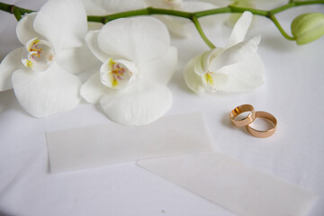 Elegant wedding rings with orchid flowers symbolizing love and romance