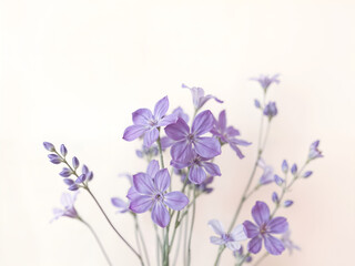 Obraz premium A bunch of lavender flowers on soft cream, perfect for floral arrangements or nature themes. Generative AI