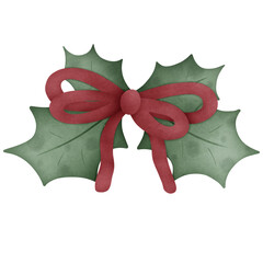 Fototapeta premium Christmas flowers 