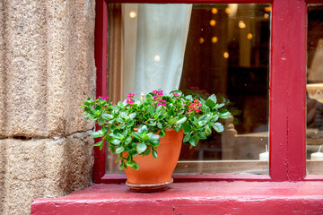 Blumentopf auf roter Holzfensterbank