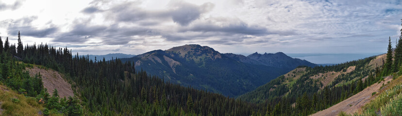 Obraz premium Hurricane Ridge Olympic National Park views from hiking trails by Port Angeles Washington USA