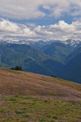 Hurricane Ridge Olympic National Park views from hiking trails by Port Angeles Washington USA