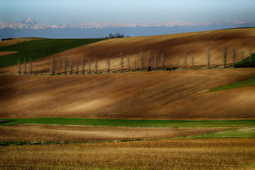 Monferrato tra San Salvatore e Lu - Provincia di Alessandria - Piemonte - Italia