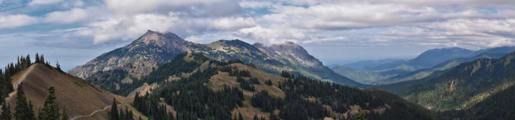 Fototapeta premium Hurricane Ridge Olympic National Park views from hiking trails by Port Angeles Washington USA
