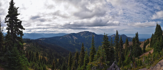Hurricane Ridge Olympic National Park views from hiking trails by Port Angeles Washington USA