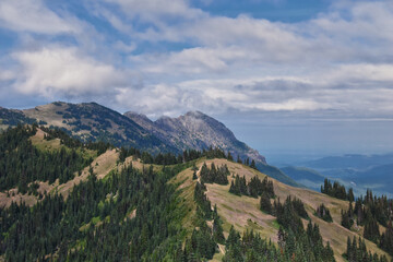 Hurricane Ridge Olympic National Park views from hiking trails by Port Angeles Washington USA