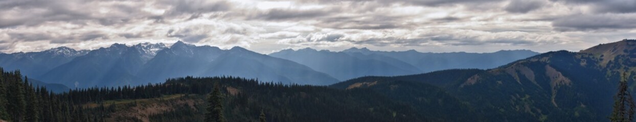 Obraz premium Hurricane Ridge Olympic National Park views from hiking trails by Port Angeles Washington USA