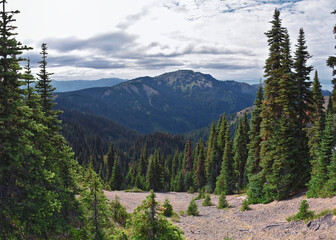 Hurricane Ridge Olympic National Park views from hiking trails by Port Angeles Washington USA