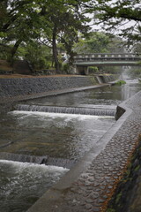 雨の日と川沿いの公園